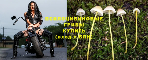 кокаин премиум Алзамай