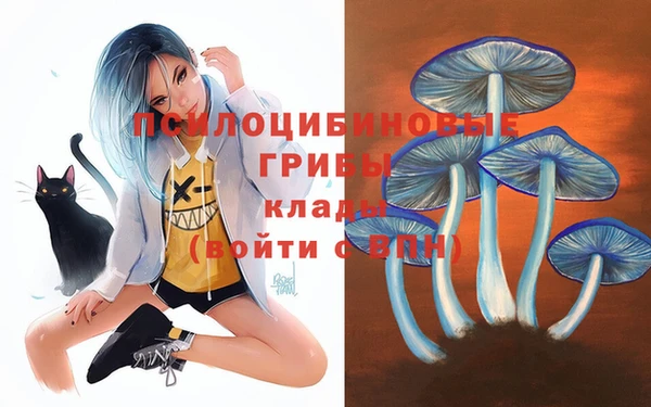 кокаин премиум Алзамай