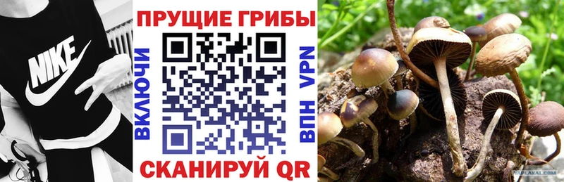 Псилоцибиновые грибы GOLDEN TEACHER  Октябрьск 